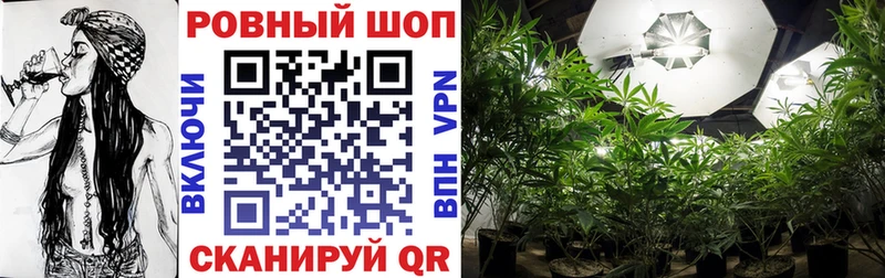 Виды наркоты Новотитаровская Канабис  Меф мяу мяу  APVP  ГАШ 