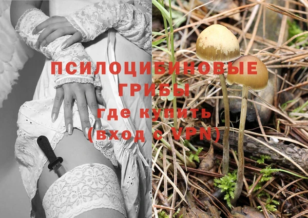MDMA Белокуриха